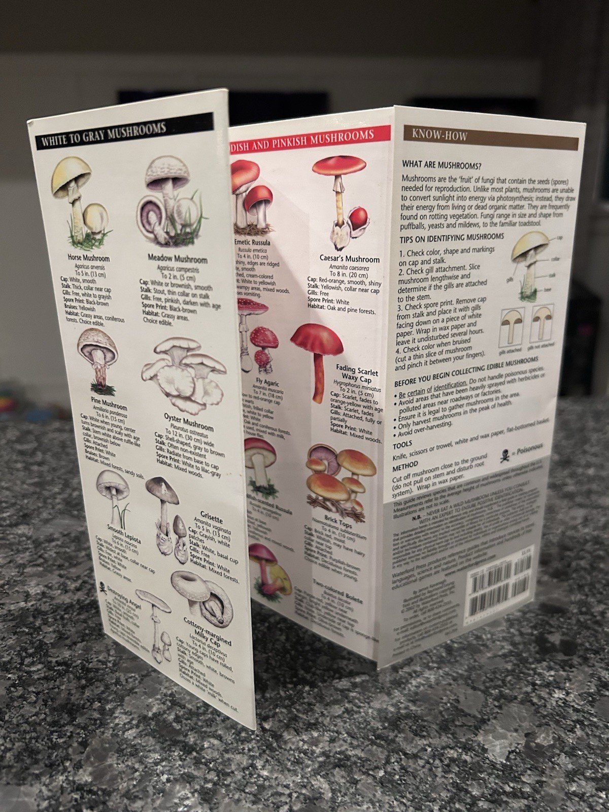 Pocket Naturalist Guide To North American Mushrooms Laminated Pamphlet