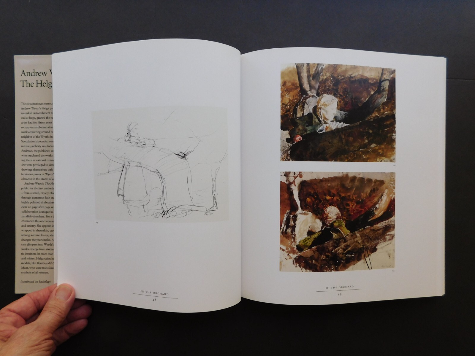 ANDREW WYETH Illustrated 1987 collection HELGA PICTURES Unread HCDJ 208 pages