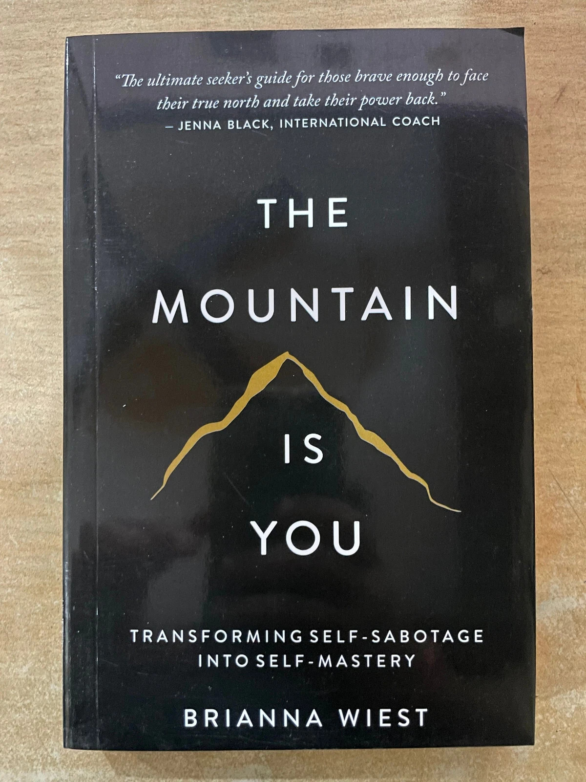 Perfect Book for Gift – The Mountain is You USA Stock Premium Quality Free Shipp