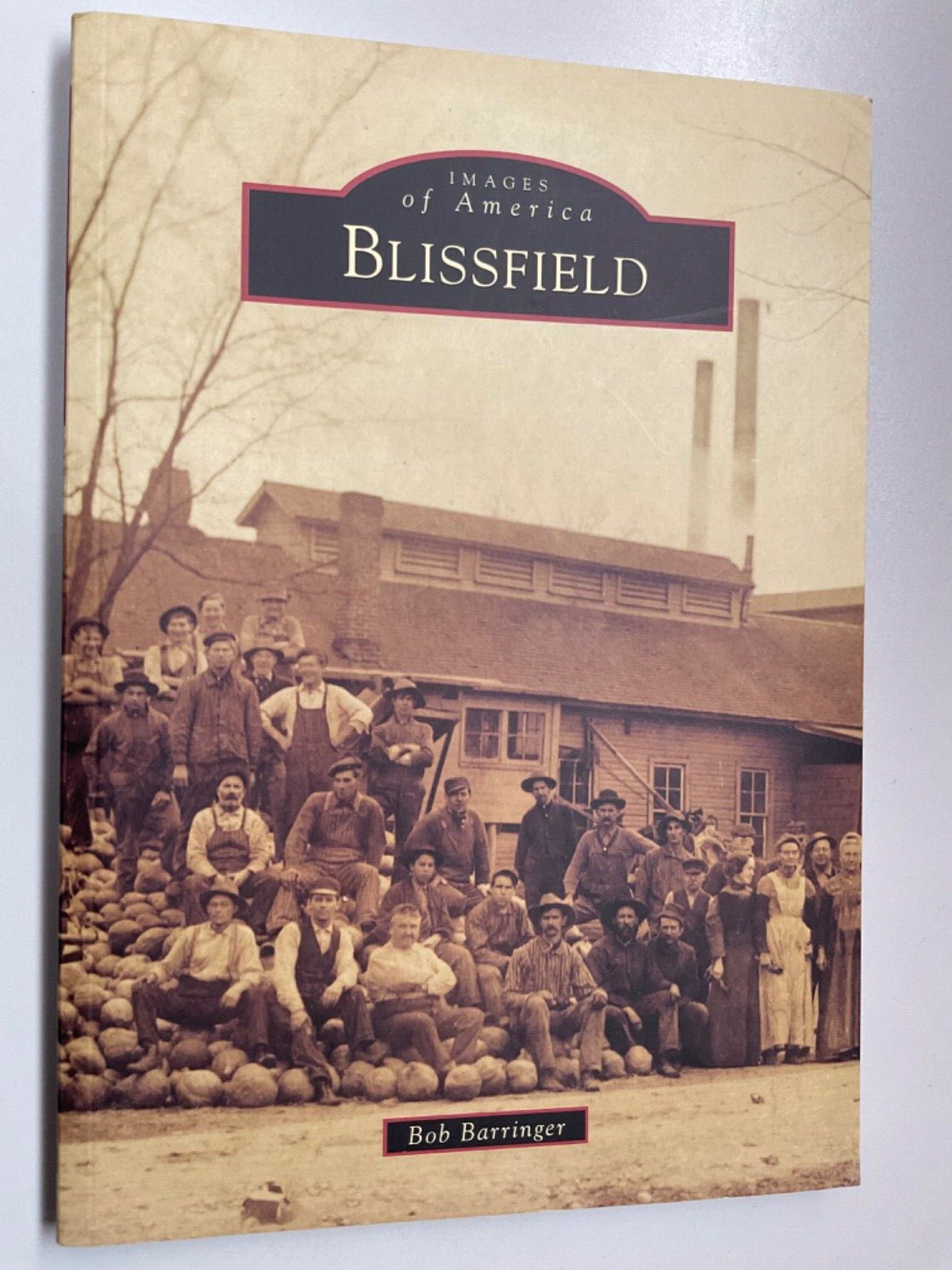 Images of America Ser.: Blissfield by Bob Barringer (2014, Trade Paperback)